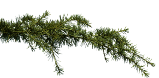 Dlaczego mam zatkany nos a nie mam kataru? Dlaczego mam zatkany nos a nie mam kataru?