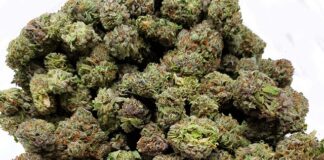 Czym się różni przychodnia publiczna od niepublicznej? Czym się różni przychodnia publiczna od niepublicznej?