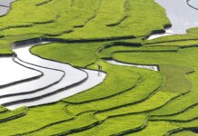 Jaka jest najgrubsza igła?