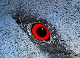 Czego nie wolno kibicom w Katarze?