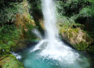 Co pić żeby nie sikać?