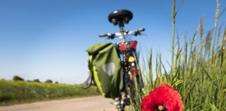 Jak mierzyć aktywność fizyczna?