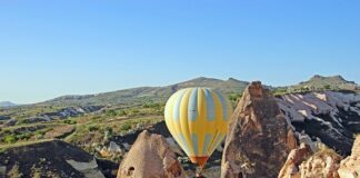 Jak zaczyna się martwicą?