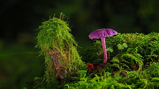 Gdzie stacjonarnie kupić farbę do tkanin?